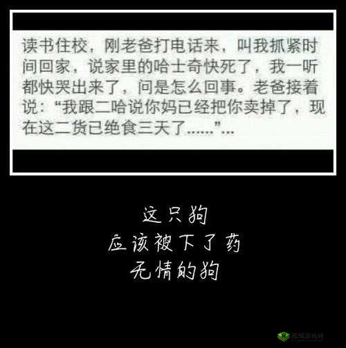 正在玩命加载中:请耐心等待