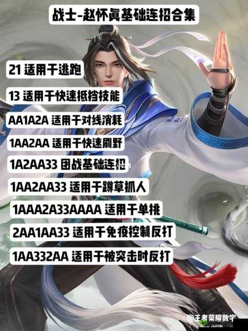 王者荣耀赵怀真连招攻略大全:掌握核心连招,轻松制霸战场