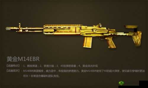 CF手游M14EBR迷彩怎么样?M14EBR属性评测,全新武器评测大揭秘