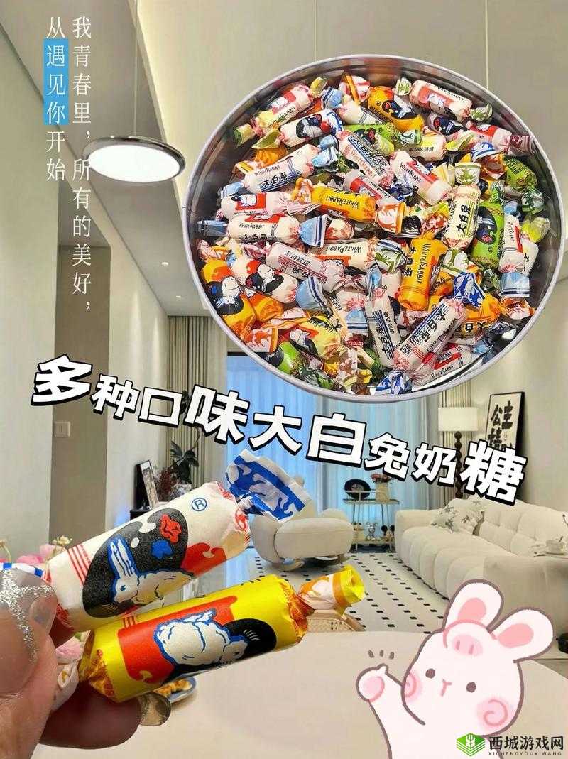 大白兔衬衫里蹦蹦跳跳的是什么:探寻真相