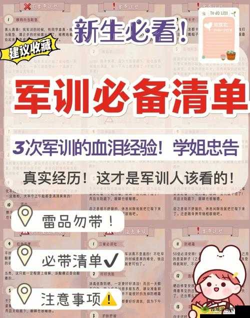 军训大作战第11关攻略大全:轻松突破难关实战指南