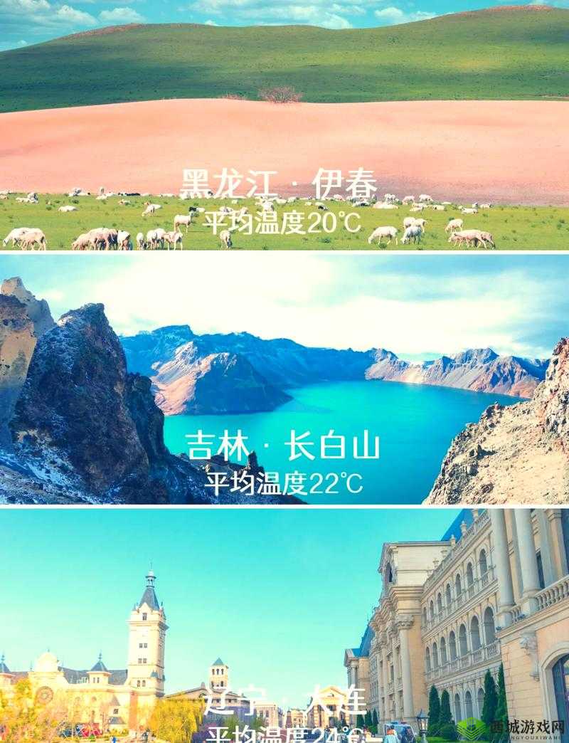 伊春园 2023 入口直达大象听说有 30 分钟视频:如此精彩,你不能错过