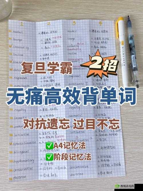 思维坐在学霸的鸡上背单词双楠:高效学习法