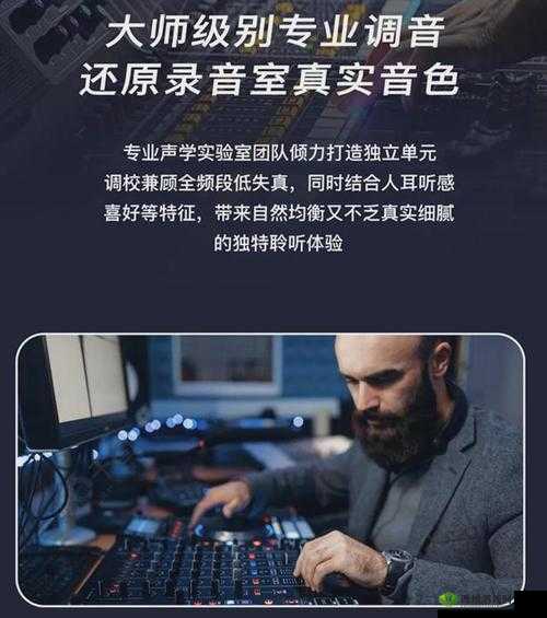 仙踪林 Company-Limited19 内置超强音效:震撼体验