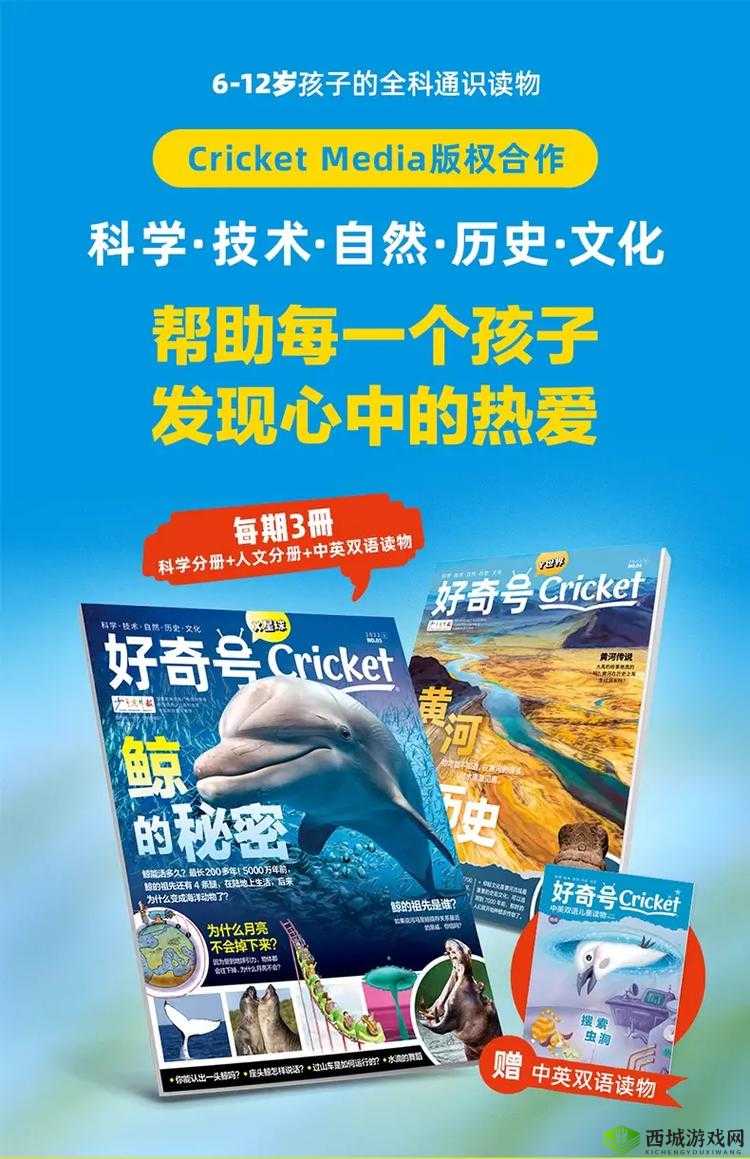 大长径视频：探索未知的奥秘