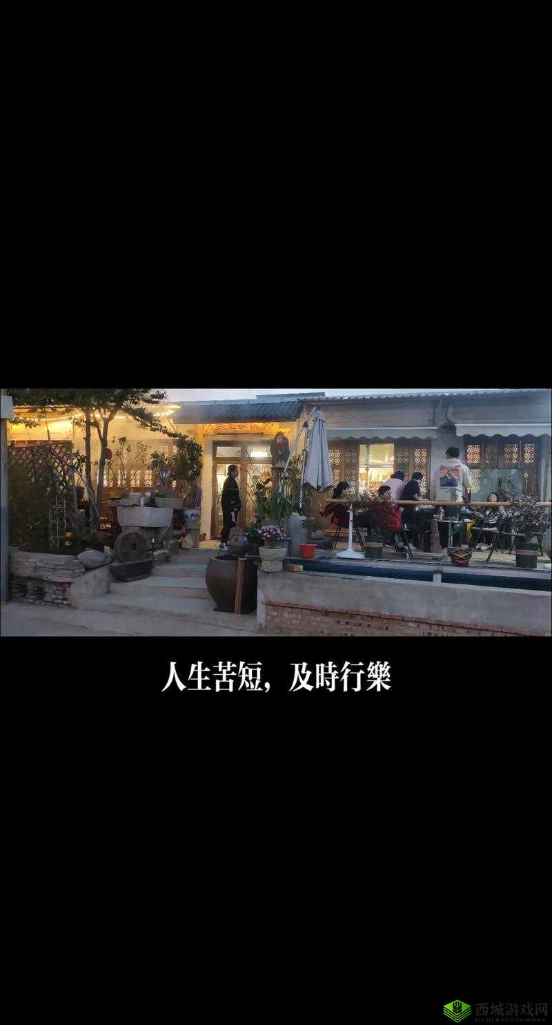 及时行乐 1V2:享受当下,不负春光