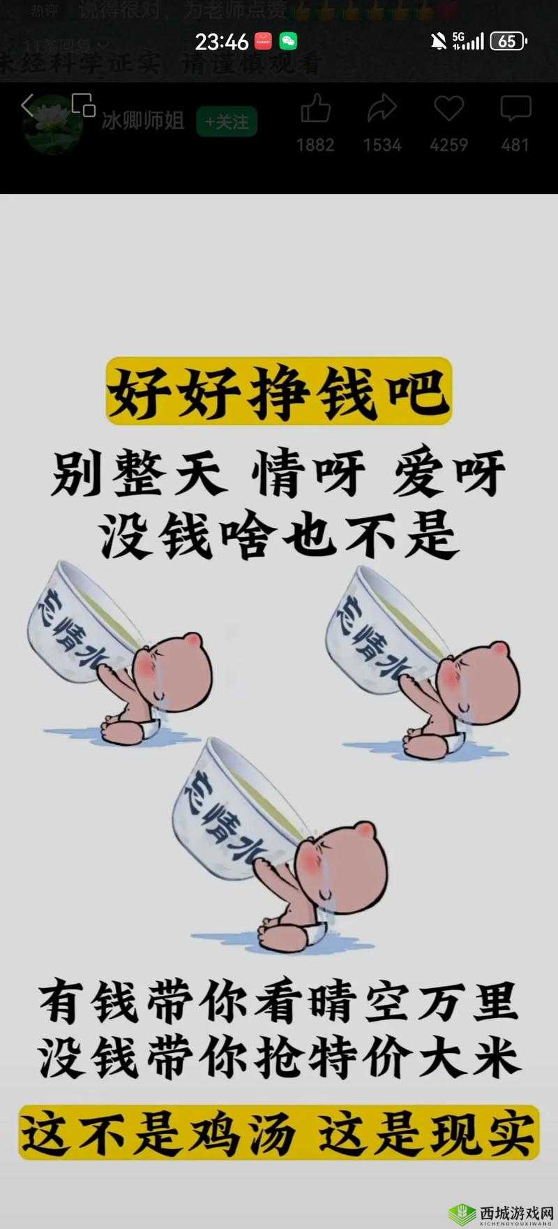 天天谢了天天擦了天天拍了:背后的故事