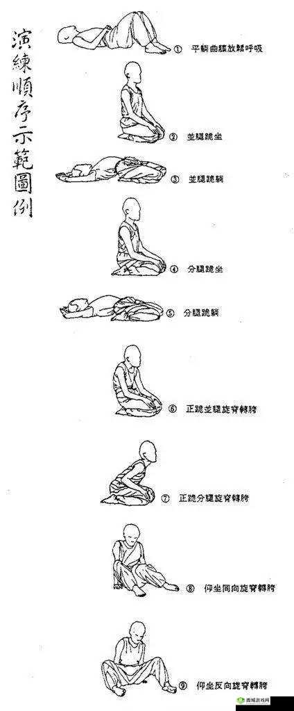 如何坐着摇:技巧与方法解析