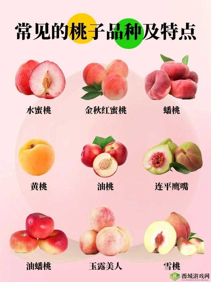 水蜜桃:欧产、日产、国产,你喜欢哪种?