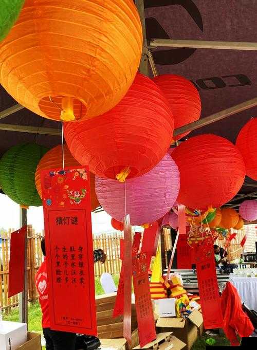 换母闹元宵猜灯谜：苏娅李文雯相关活动