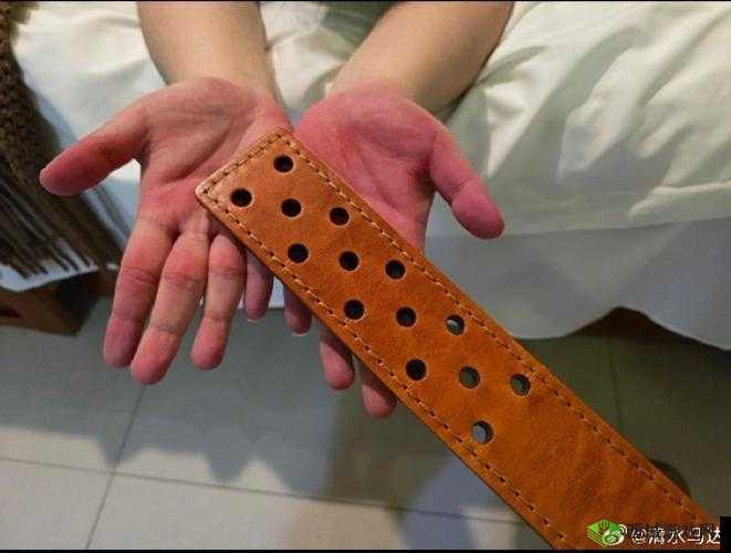 趴好了自己选皮带还是戒尺:一场特殊的抉择