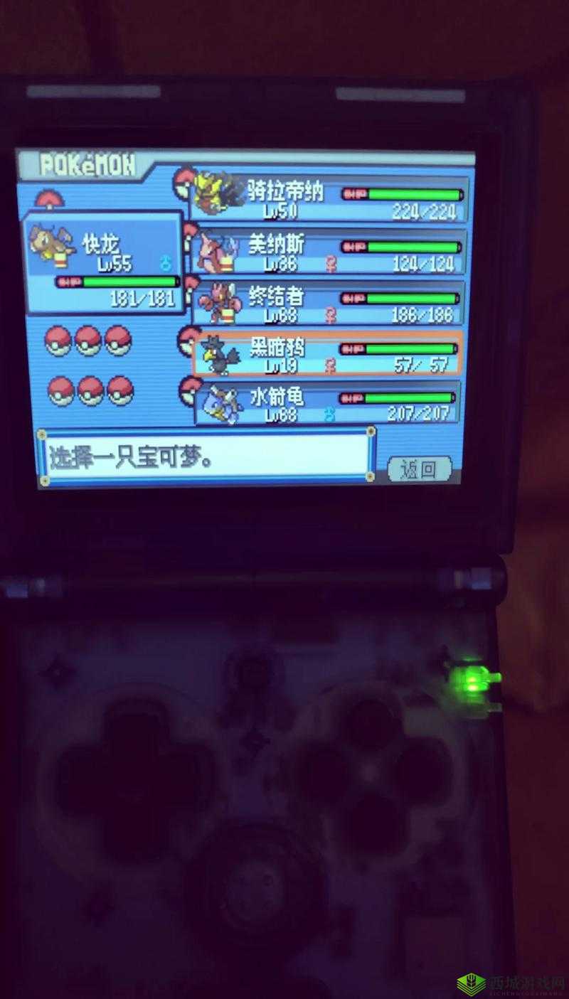 口袋妖怪逆袭双开软件免费福利全开，全新体验尽享无忧