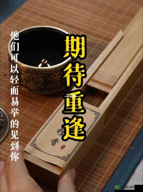 御花园太子妃沈音等我回来:期待重逢