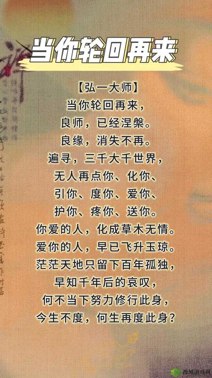 卡布西游修行值探秘:修行之道与成长之秘