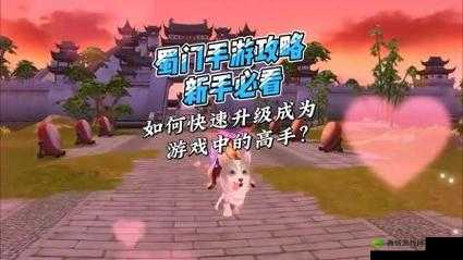 新手攻略:如何开启《开罗之星》周目游戏之旅