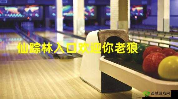 仙踪林在线入口欢迎您:开启奇幻之旅