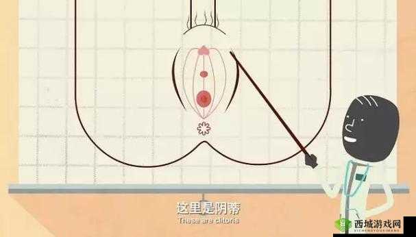 夹 r 头多久:因人而异的私密体验