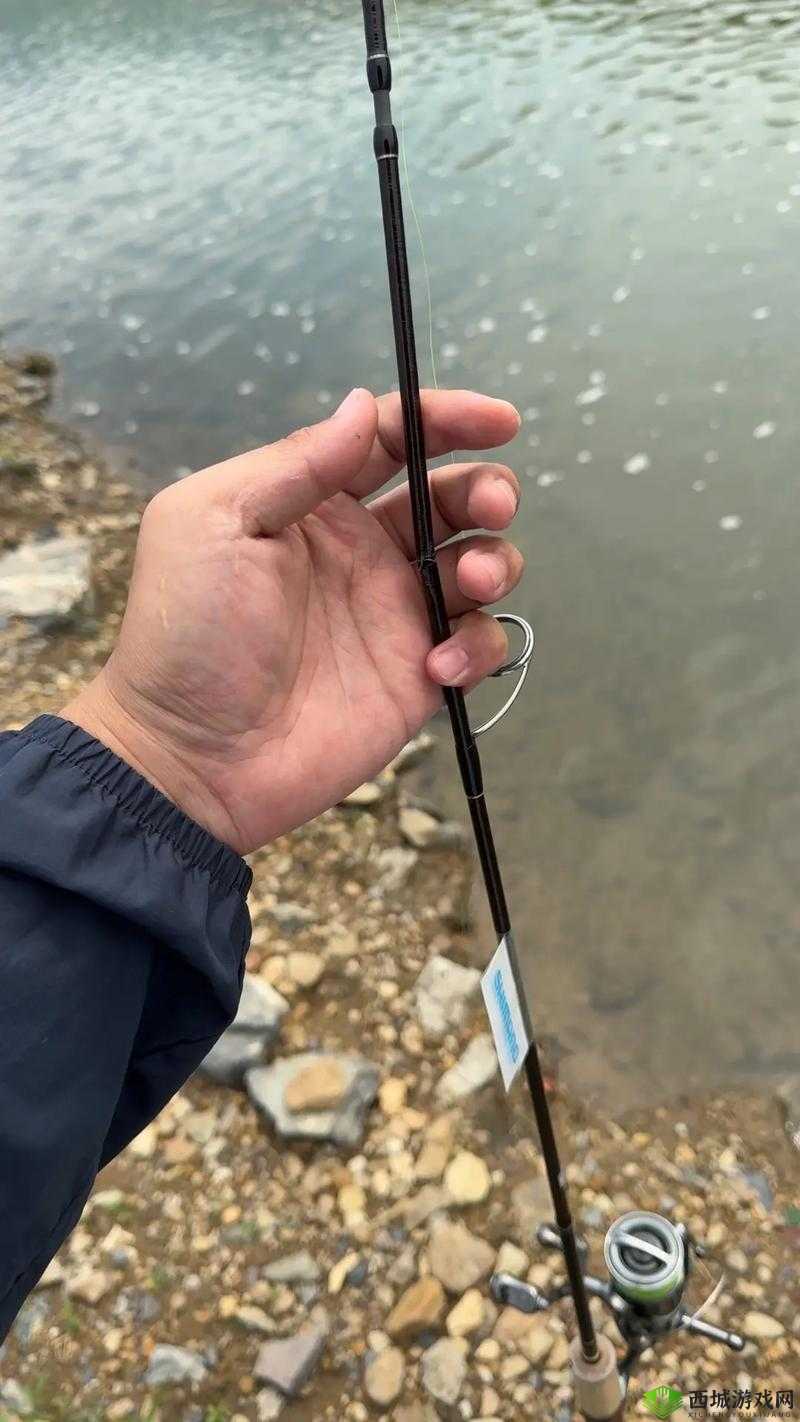一夹一摇和鲤鱼吸水：两种不同的行为