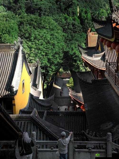 命运之路:职业起源背景解析与全貌概览