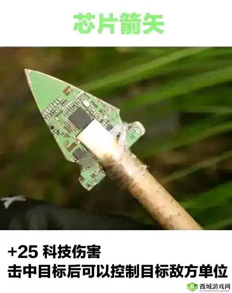 风云岛行动箭矢种类大汇总及各类箭矢功效详细解读