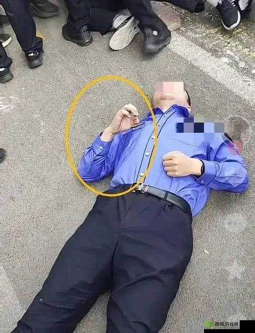 张警犬撞玻璃视频资源：揭秘真相