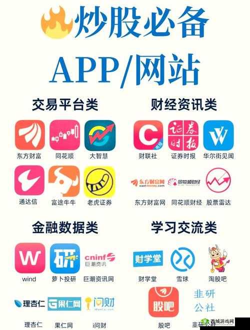 免费行情动画网站 app，带你畅游精彩动画世界