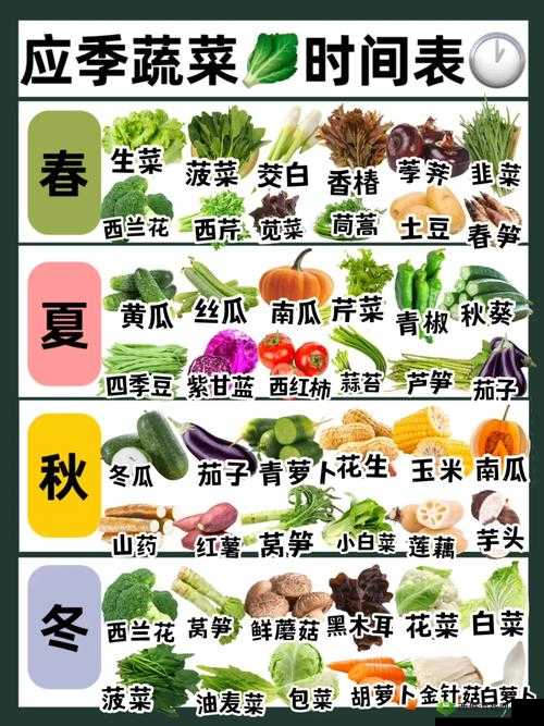 草莓樱桃丝瓜秋葵榴莲黄瓜大全:水果、蔬菜、水果、蔬菜的完美搭配