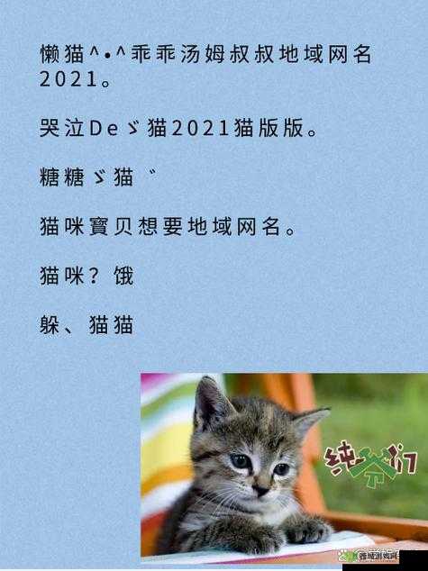 猫咪最新永久地域网名是什么:探寻猫咪的神秘世界