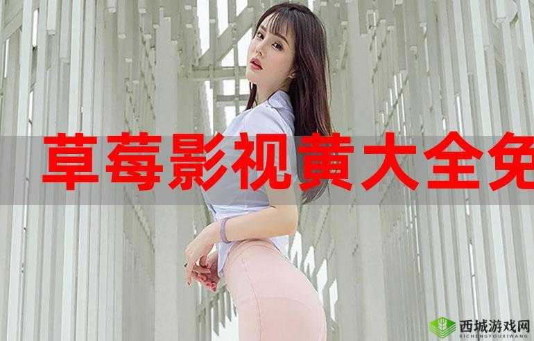 我们高清视频在线观看免费播放:尽享精彩影视资源