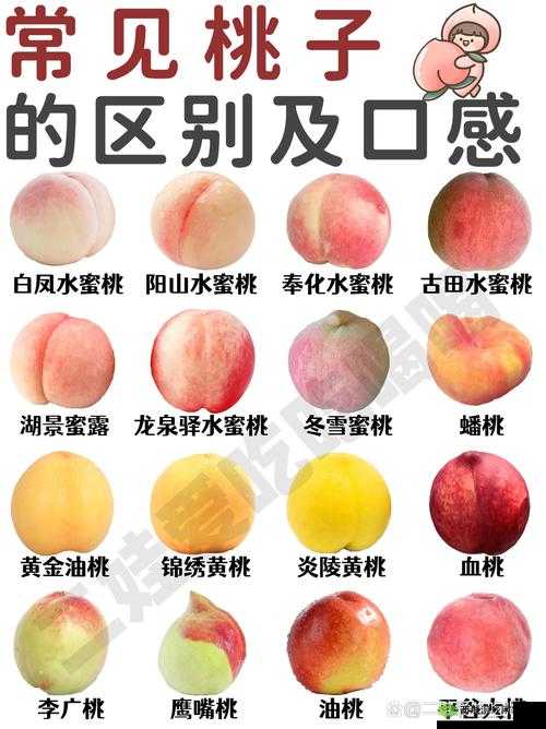 水蜜桃亚洲一二三四在线:甜蜜多汁的水果与精彩在线内容的完美结合
