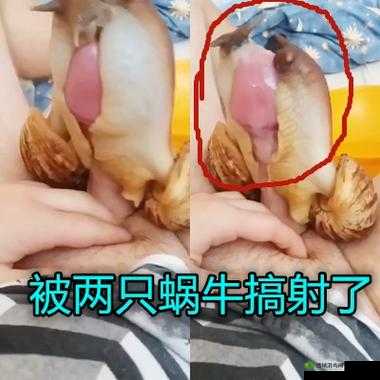 17c.com 黑料吃瓜:深度揭秘背后不为人知的故事