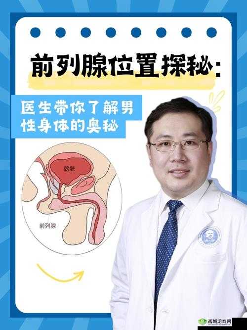 十八裸男晨勃露鸡毛软件:探索男性生理奥秘的神奇工具