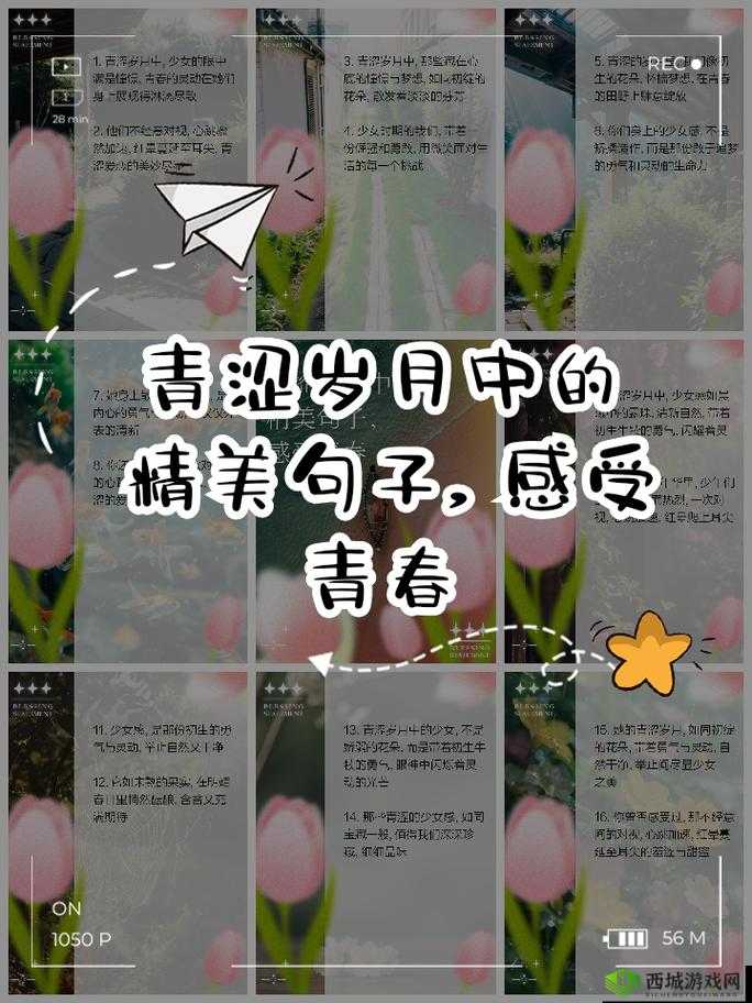岁岁常欢愉校园 1V1 结局:青春爱恋的圆满落幕与未来展望