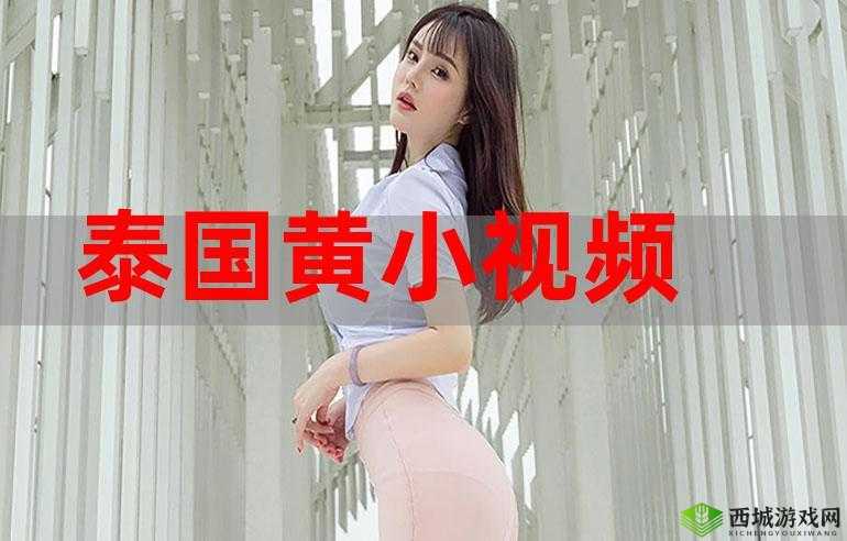 日韩黄视频:探索其中的独特魅力与精彩之处