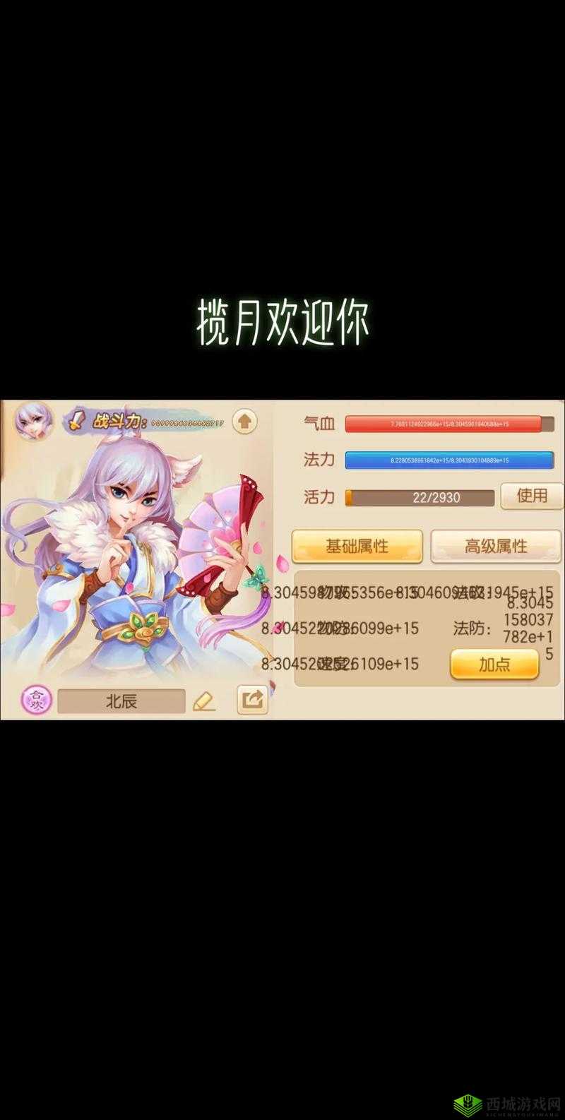 梦幻新诛仙白虎据点全攻略，解锁与征服的秘籍