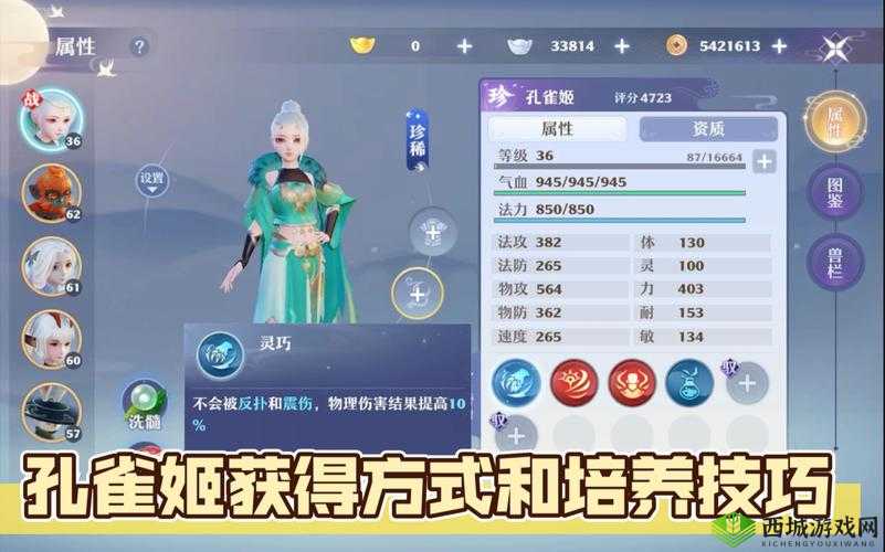 梦幻新诛仙孔雀姬洗练攻略，资源管理、高效技巧与避免浪费