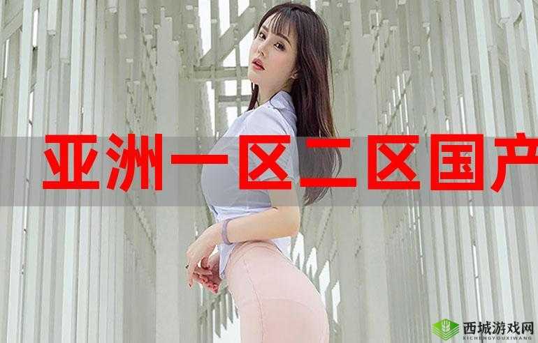 国产传媒一区二区三区:关于其内容特点及发展趋势的探讨
