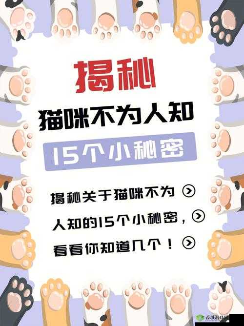 黑料网独家爆料破解版:揭开不为人知的秘密世界