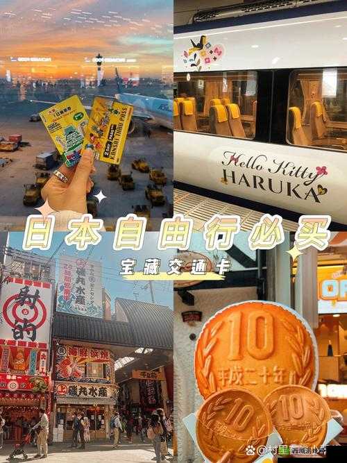 日本1卡2卡3卡区:探寻其独特魅力与特色所在