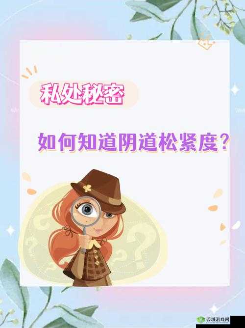 下面松紧度怎么能知道:探索其背后的判断方法与标准