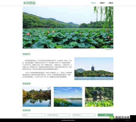 成品网站入口网页版怎样:深入了解其使用方法与优势