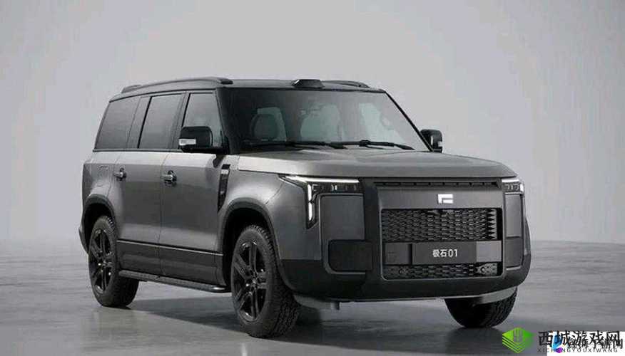497799 欧洲版的国产 SUV 重新复出:引发市场高度关注与期待