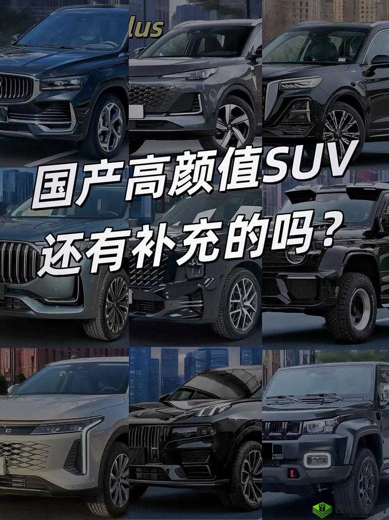 久免费一级SUV好看的国产:领略独具魅力的国产汽车风采