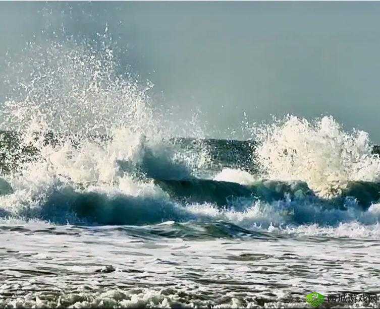 浪花一阵接一阵地涌了过来:那汹涌澎湃的壮观景象