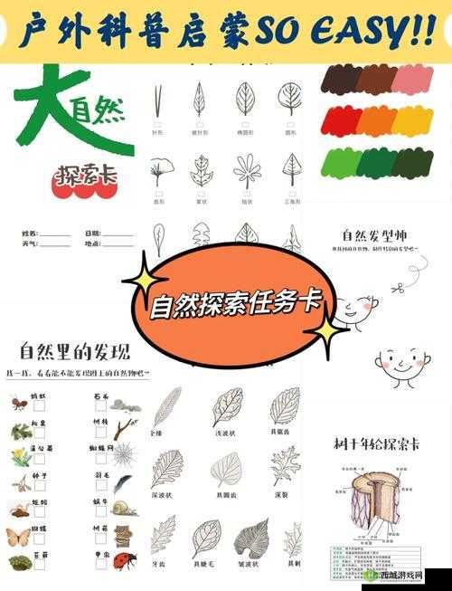 毛成片 1 卡 2 卡 3 卡 4 卡:探索未知的世界