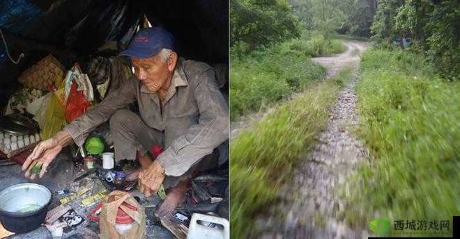 外国老人做交易森林:背后隐藏的神秘与利益纠葛