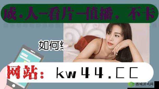 如何查询 my72777 免费域名:详细步骤和注意事项
