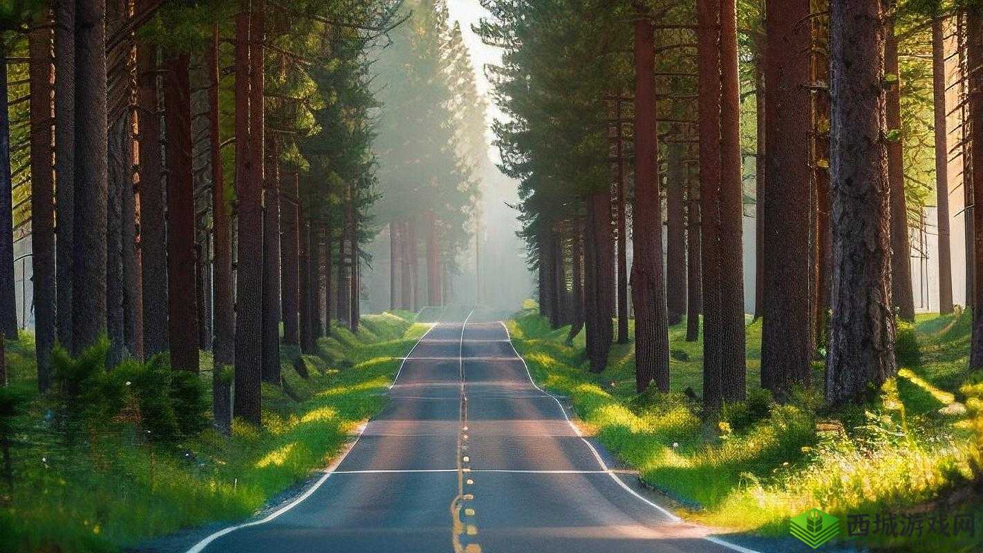 小森生活，朝晖森林的绿意秘境与资源宝藏