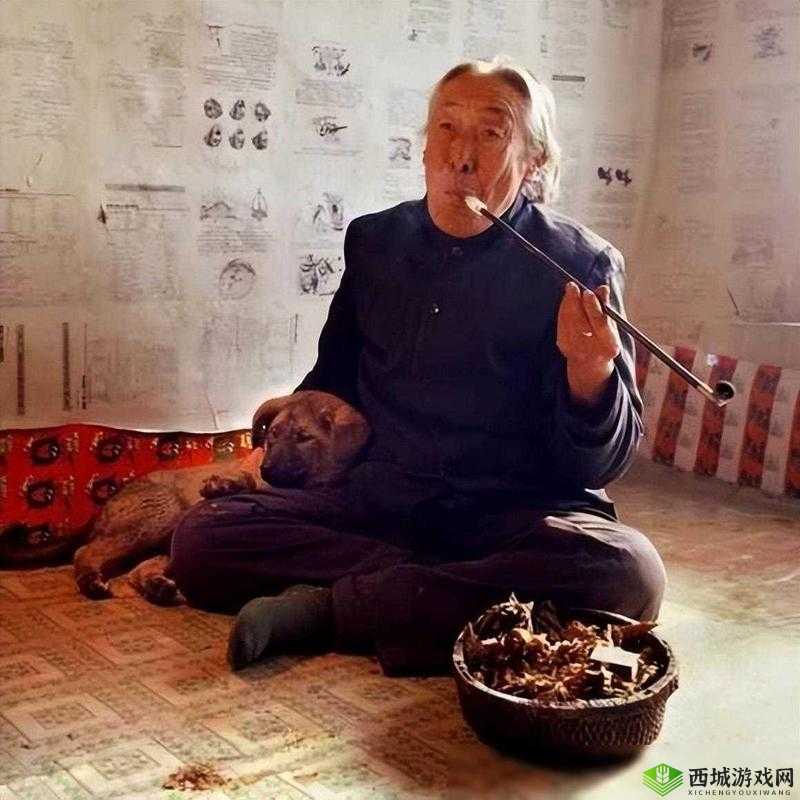 :关于中国东北老人的真实故事