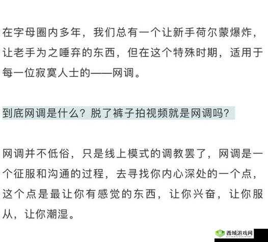 网调任务 100 条:提升调查能力的实用指南